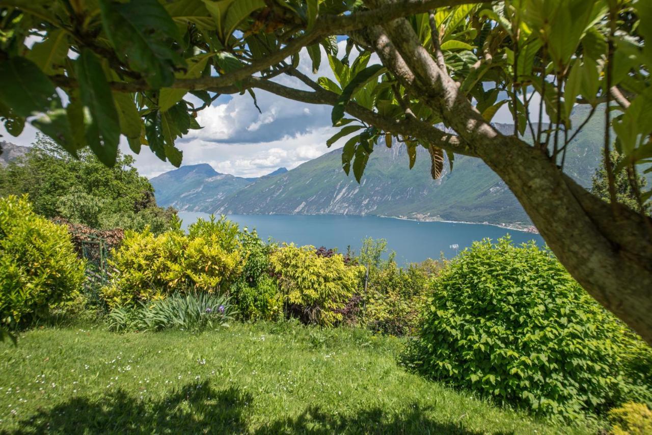 Paradise Garden & View